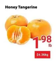 Nations Fresh Foods Honey Tangerine offer