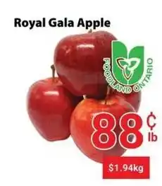 Nations Fresh Foods Royal Gala Apple offer