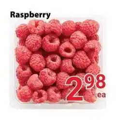Nations Fresh Foods Raspberry offer