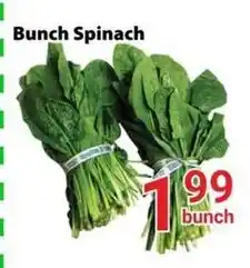 Nations Fresh Foods Bunch Spinach offer