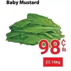 Nations Fresh Foods Baby Mustard offer