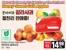 Galleria Supermarket Foodland Ontario-Grown Gala Apples offer
