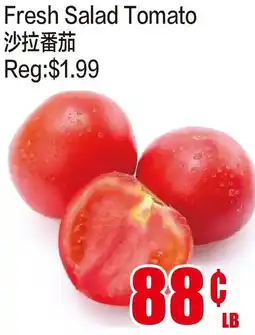 Fusion Supermarket Fresh Salad Tomato offer