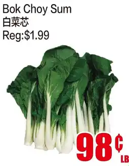 Fusion Supermarket Bok Choy Sum offer