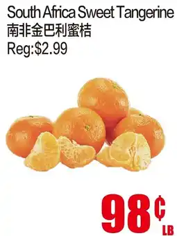 Fusion Supermarket South Africa Sweet Tangerine offer