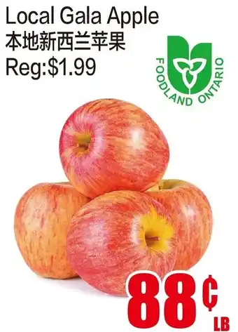 Fusion Supermarket Gala Apple offer