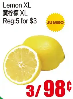 Fusion Supermarket Lemon XL offer