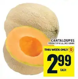 Food Basics Cantaloupes offer