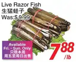 Foody World Live Razor Fish offer