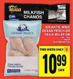 Food Basics Atlantic Wild Ocean Perch or Tasia Milkfish offer