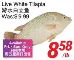 Foody World Live White Tilapia offer