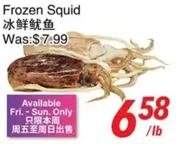 Foody World Frozen Squid offer