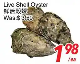 Foody World Live Shell Oyster offer