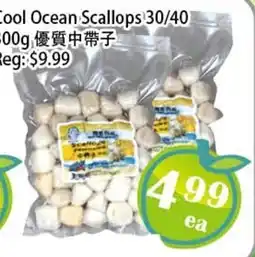 Food Depot Supermarket Cool Ocean Scallops offer