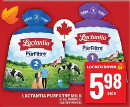 Food Basics LACTANTIA PURFILTRE MILK offer
