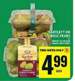 Food Basics BARTLETT OR BOSC PEARS offer