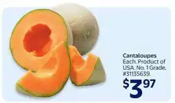 Walmart Cantaloupes offer