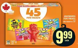 Food Basics MAYNARDS FUN TREATS offer