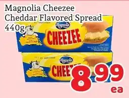 Fresh Value Magnolia Cheezee Cheddar Flavored Spread offer