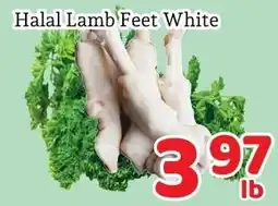 Fresh Value Halal Lamb Feet White offer
