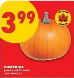 No Frills Pumpkins offer
