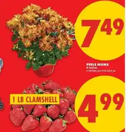 No Frills Peele mums offer