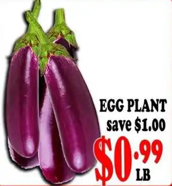 Egg Plant