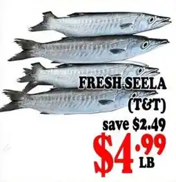 Asian Cash & Carry Fresh Seela offer