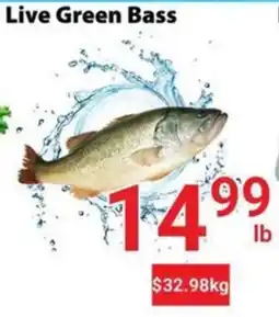 Nations Fresh Foods Live Green Bass offer