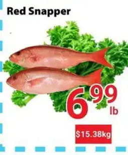 Nations Fresh Foods Red Snapper offer