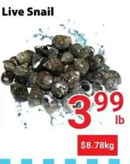 Nations Fresh Foods Live Snail offer