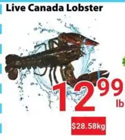 Nations Fresh Foods Live Canada Lobster offer