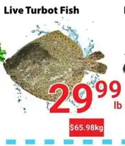 Nations Fresh Foods Live Turbot Fish offer