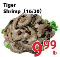 Nations Fresh Foods Tiger Shrimp offer