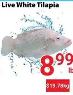 Nations Fresh Foods Live White Tilapia offer