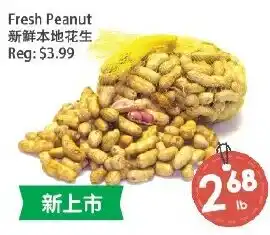 Fresh Peanut