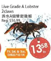 Fresh Palace Supermarket Live Grade A Lobster offer