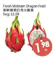Fresh Palace Supermarket Vietnam Dragon Fruit offer