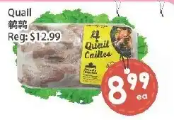 Fresh Palace Supermarket Quail offer