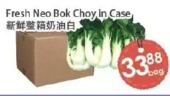 Fresh Palace Supermarket Fresh Neo Bok Choy offer
