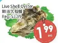Fresh Palace Supermarket Live Shell Oyster offer