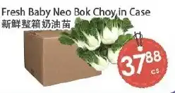 Fresh Palace Supermarket Fresh Baby Neo Bok Choy offer