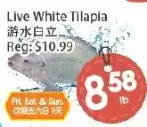 Fresh Palace Supermarket Live White Tilapia offer