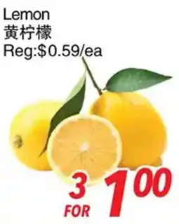 Foody World Lemon offer