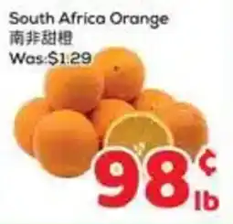 Foody Mart South Africa Orange offer
