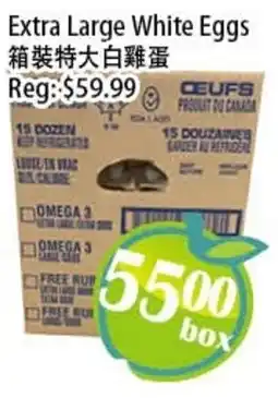 Food Depot Supermarket Extra Large White Eggs offer