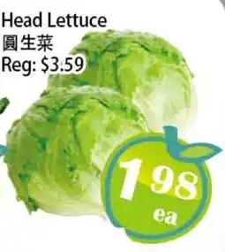 Food Depot Supermarket Head Lettuce offer