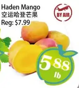 Food Depot Supermarket Haden Mango offer