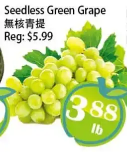 Food Depot Supermarket Seedless Green Grape offer