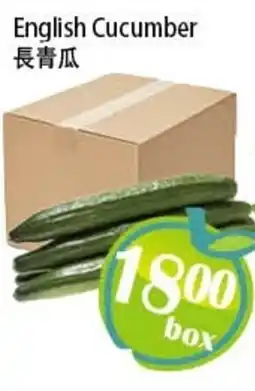 Food Depot Supermarket English Cucumber offer